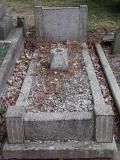 image of grave number 569786